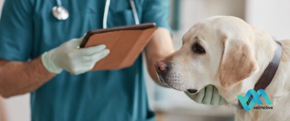 L'importanza dell'anamnesi veterinaria